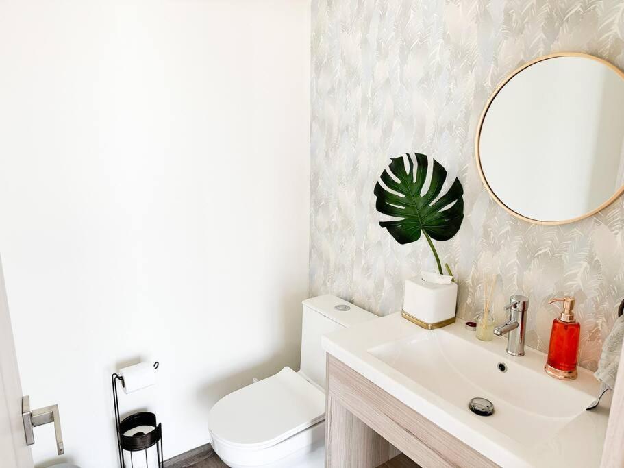 Luxury 3Br Apartment W Pool, Spa & Stunning Views 푸에블라 외부 사진